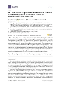 An Overview of Duplicated Gene Detection Methods: Why the Duplication Mechanism Has to Be Accounted for in Their Choice
