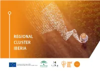 Cluster Iberia