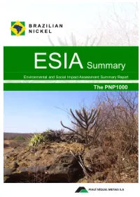 ESIA Bridging Document
