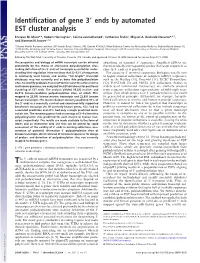 Identification of Gene 3 Ends by Automated EST Cluster Analysis