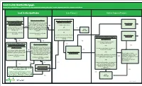 QM Small Creditor Flow Chart