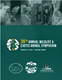 WEAS 2021 PROGRAM.Pdf
