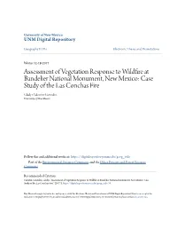 Assessment of Vegetation Response to Wildfire at Bandelier National