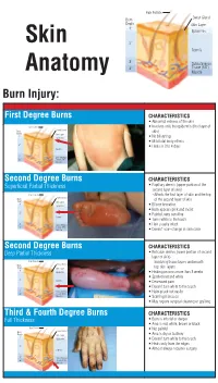 Identifying the Degree of a Burn Poster