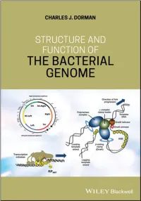 Structure and Function of the Bacterial Genome