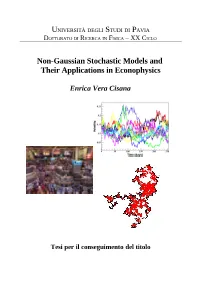 Non-Gaussian Stochastic Models and Their Applications in Econophysics