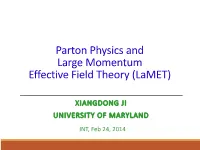 Parton Physics and Large Momentum Effective Field Theory (Lamet)