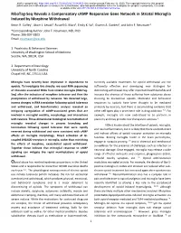 Ribotag-Seq Reveals a Compensatory Camp Responsive Gene Network in Striatal Microglia Induced by Morphine Withdrawal Kevin R