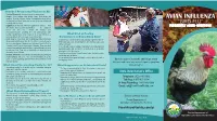AVIAN INFLUENZA Working with Your Birds