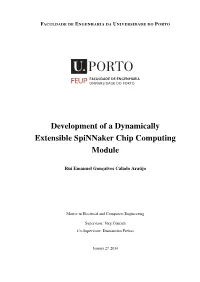 Development of a Dynamically Extensible Spinnaker Chip Computing Module
