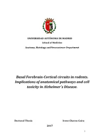 Basal Forebrain-Cortical Circuits in Rodents. Implications of Anatomical Pathways and Cell Toxicity in Alzheimer´S Disease
