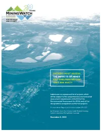 Ontario Must Assess the Impacts of Mines and Smelters Before They Are Built!