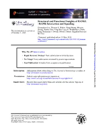 RANK Interaction and Signaling − RANKL Structural and Functional