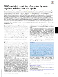 Caveolae, but Its Lecular Mechanisms of Caveolae-Dependent Fat Uptake Have Remained Physiological Function Has Remained Unclear