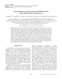 Connection Between Micrometeorites and Wild 2 Particles: from Antarctic Snow to Cometary Ices