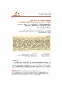 Dislocation Structure Evolution During Plastic Deformation of Low-Carbon Steel
