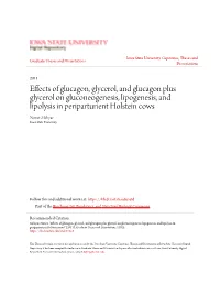 Effects of Glucagon, Glycerol, and Glucagon Plus Glycerol On