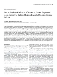 Fos Activation of Selective Afferents to Ventral Tegmental Area During Cue-Induced Reinstatement of Cocaine Seeking in Rats