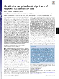Identification and Paleoclimatic Significance of Magnetite Nanoparticles in Soils