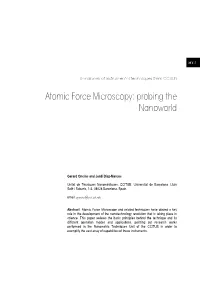 07-AFM Probing the Nanoworld