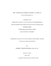 MERENDA-DISSERTATION-2020.Pdf
