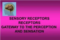 Action Potential and Synapses