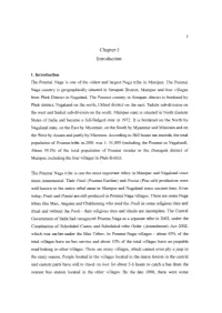 Chapter I Introduction