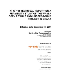 Ni 43-101 Technical Report on a Feasibility Study of the Wassa Open