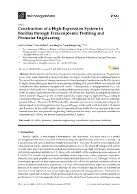 Construction of a High-Expression System in Bacillus Through Transcriptomic Proﬁling and Promoter Engineering