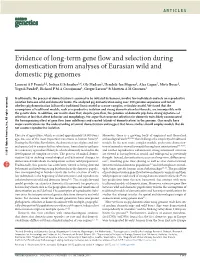 Evidence of Long-Term Gene Flow and Selection During Domestication from Analyses of Eurasian Wild and Domestic Pig Genomes