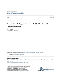 Descriptions, Biology, and Notes on the Identification of Some Trogoderma Larvae