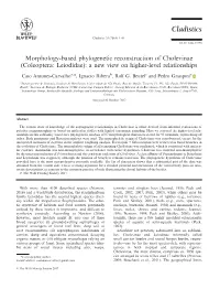 Based Phylogenetic Reconstruction of Cholevinae (Coleoptera: Leiodidae): a New View on Higher-Level Relationships