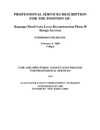 Professional Services Description for the Position Of