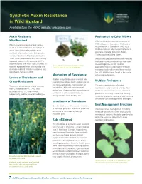 Synthetic Auxin Resistance in Wild Mustard Available from the HRAC Website: Hracglobal.Com