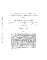 Can Single Neurons Solve MNIST? the Computational Power of Biological Dendritic Trees