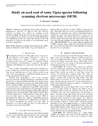 Study on Seed Coat of Some Vigna Species Following Scanning Electron Microscopy (SEM)