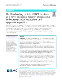 The RNA-Binding Protein SERBP1 Functions As a Novel Oncogenic