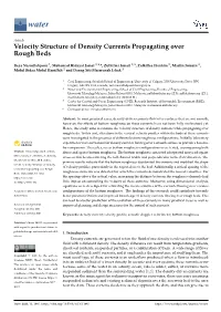 Velocity Structure of Density Currents Propagating Over Rough Beds