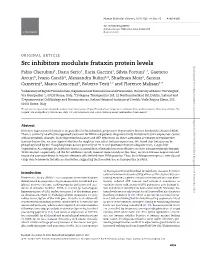 Src Inhibitors Modulate Frataxin Protein Levels