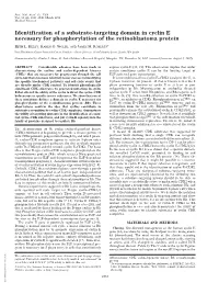 Identification of a Substrate-Targeting Domain in Cyclin E Necessary for Phosphorylation of the Retinoblastoma Protein