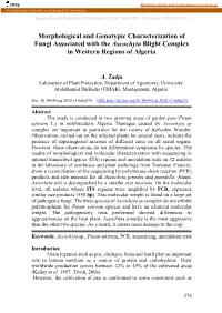 Morphological and Genotypic Characterization of Fungi Associated with the Ascochyta Blight Complex in Western Regions of Algeria