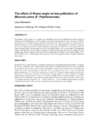 The Effect of Flower Angle on Bat Pollination of Mucuna Urens (F