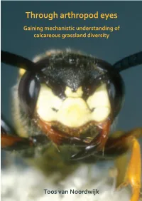 Through Arthropod Eyes Gaining Mechanistic Understanding of Calcareous Grassland Diversity