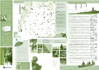 Aa Rec Guide 6 15.Indd