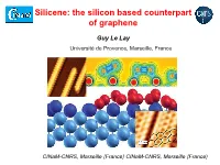 From Graphene to Silicene?