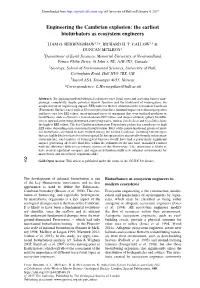 The Earliest Bioturbators As Ecosystem Engineers