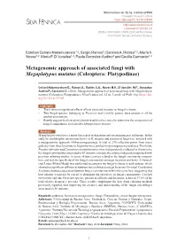 Metagenomic Approach of Associated Fungi with Megaplatypus Mutatus (Coleoptera: Platypodinae)