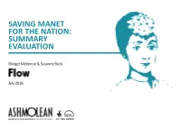Saving Manet for the Nation: Summary Evaluation