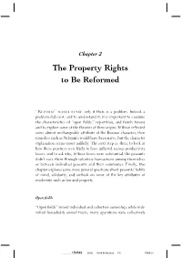 The Property Rights to Be Reformed
