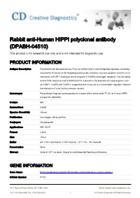 Rabbit Anti-Human HIPPI Polyclonal Antibody (DPABH-04510) This Product Is for Research Use Only and Is Not Intended for Diagnostic Use